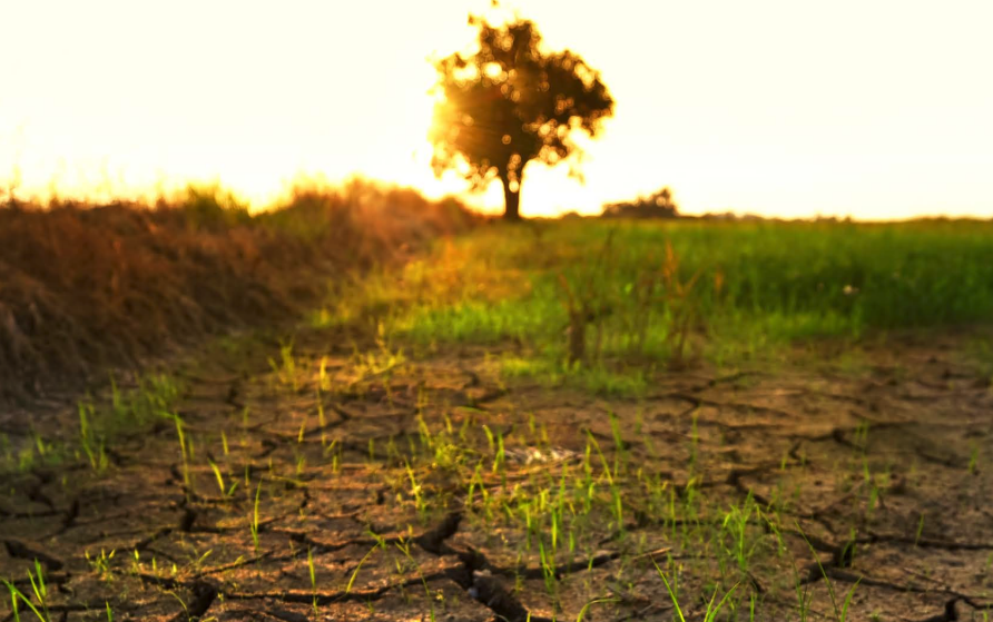 Spatiotemporal Drought Assessment by Leveraging Google Earth Engine Platform INWEH-17