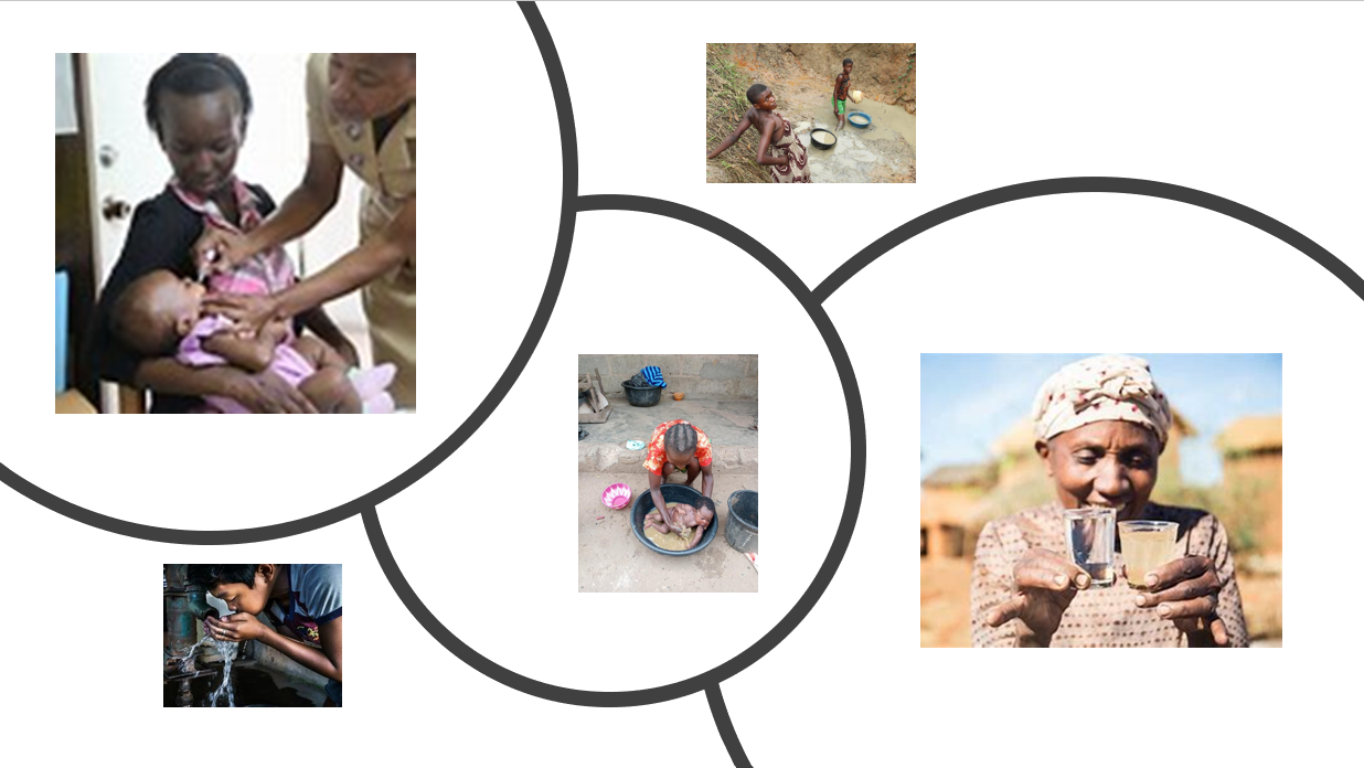 Water and Health:Targeting linkages and gaps for impact INWEH-26
